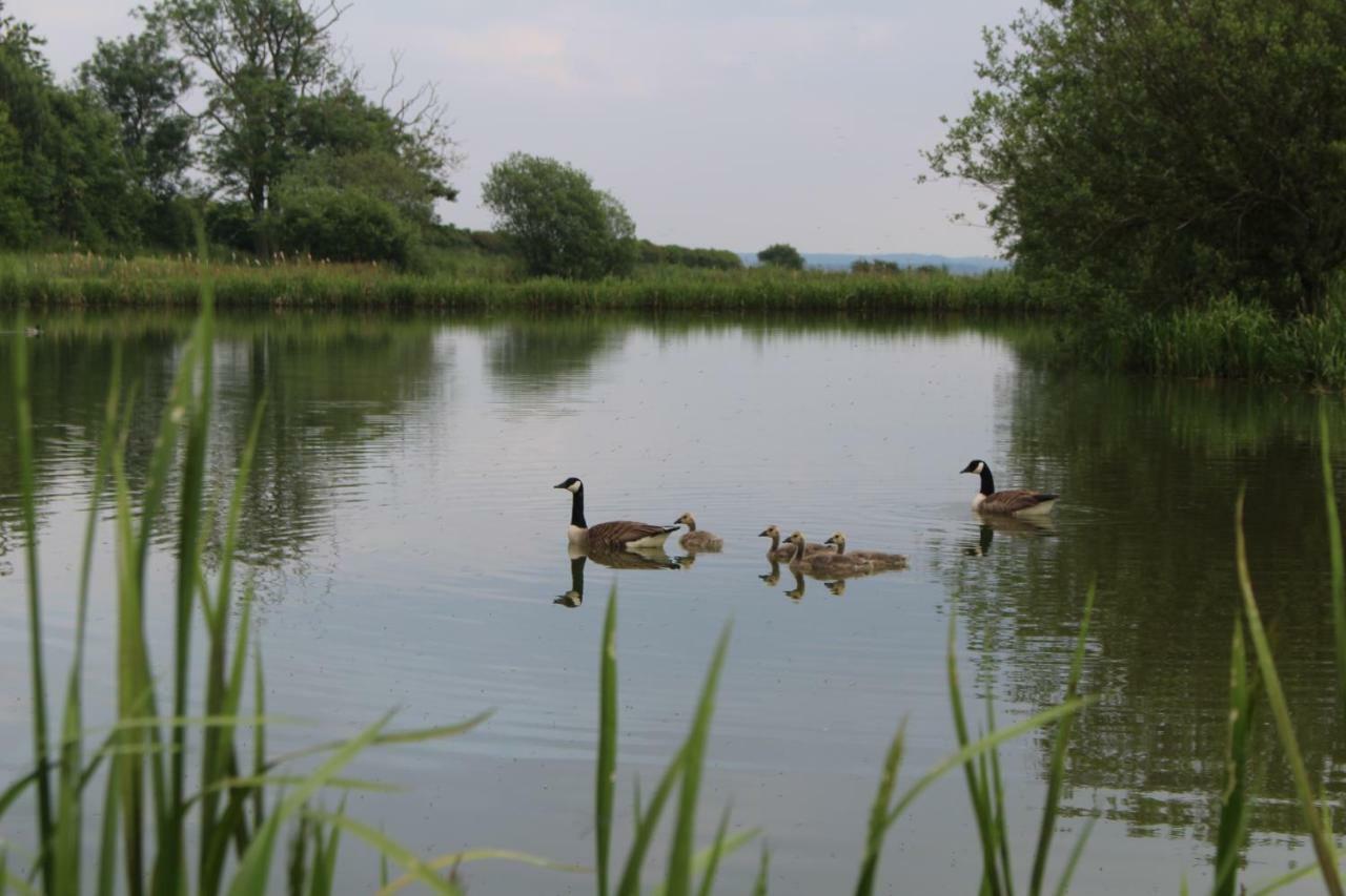 Waltham on the Wolds Fair Farm Hideawayヴィラ エクステリア 写真